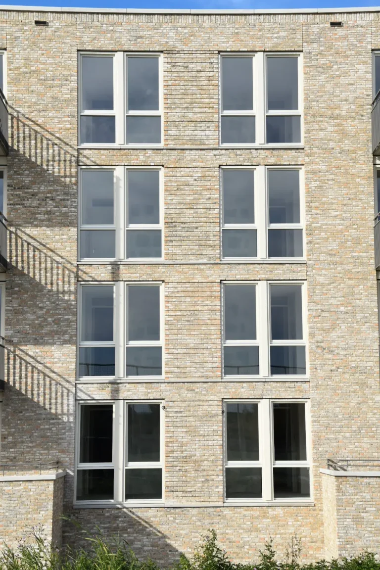 image10